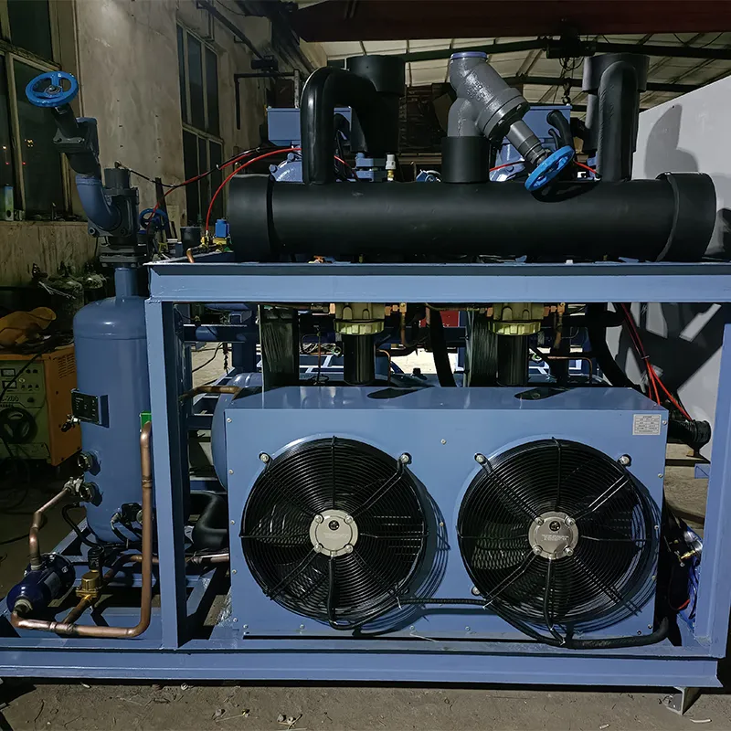 Двухблочный агрегат Рефком SW3L5000-L4 (2)