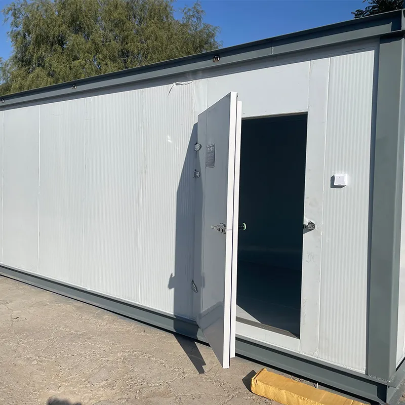 Мобильные холодильные камеры на шасси1 (4)