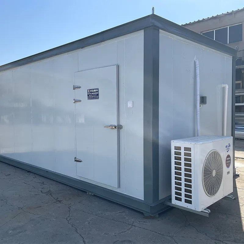 Мобильные холодильные камеры на шасси1 (1) Мобильные холодильные камеры на шасси1 (1)