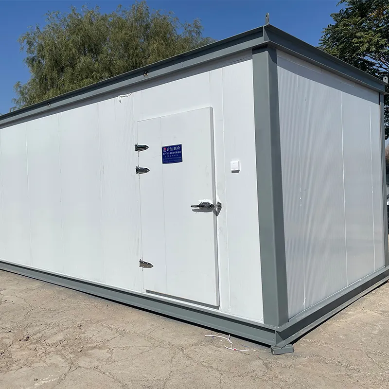 Мобильные холодильные камеры на шасси1 (5) Мобильные холодильные камеры на шасси1 (5)