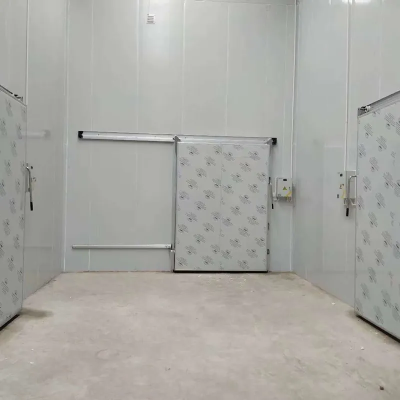 Теплоизоляционные двери для холодильных камер1 (1) Теплоизоляционные двери для холодильных камер1 (1)